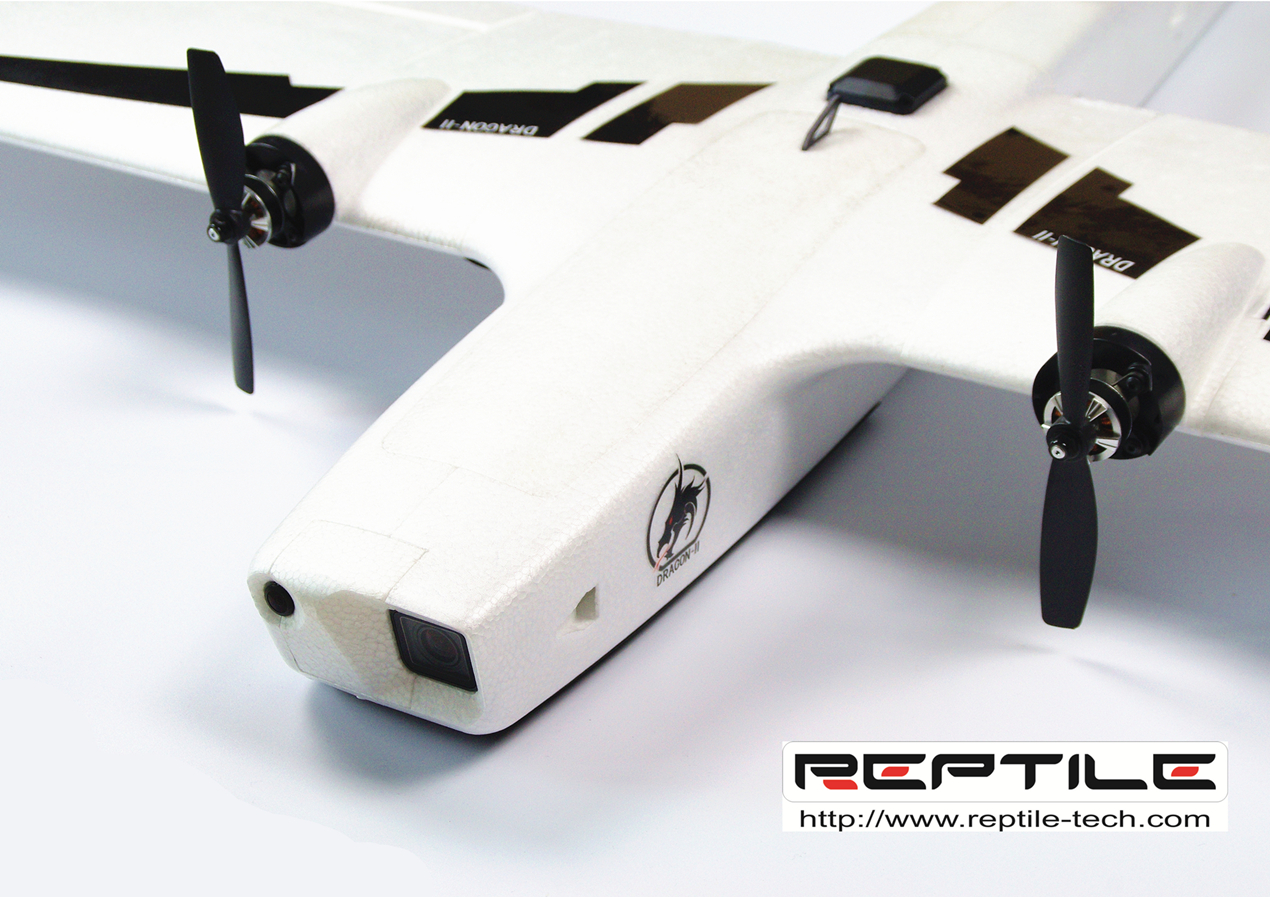 REPTILE - DRAGON - 2(图1)